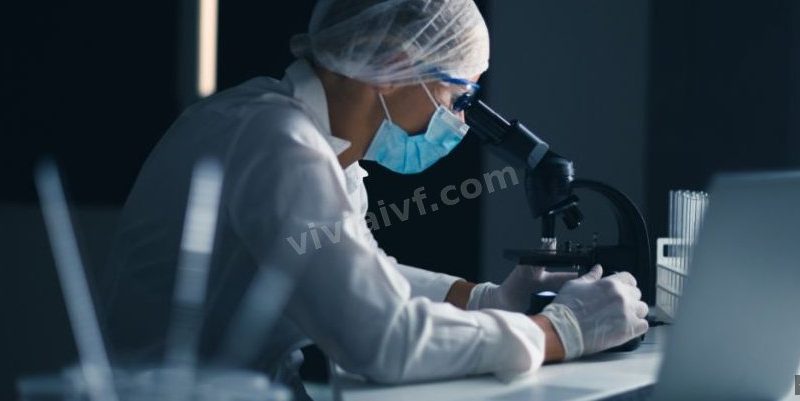 染色体平衡易位，俄罗斯代孕和哥伦比亚怎么选